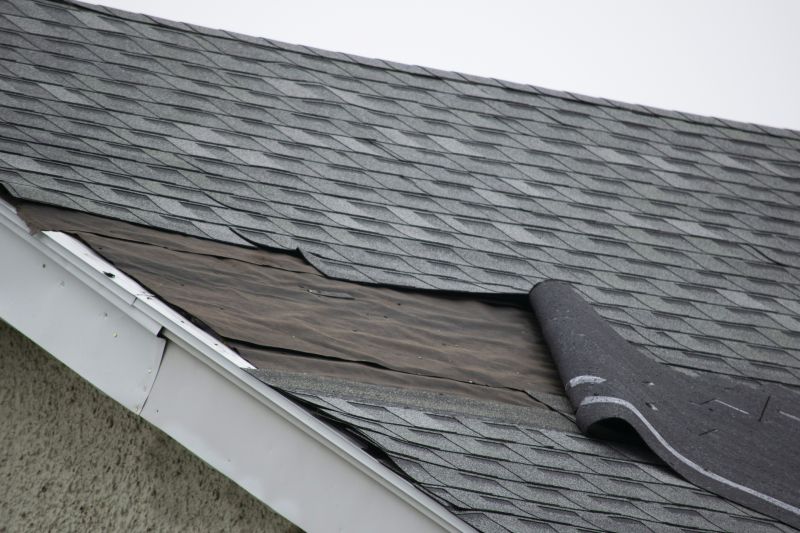 Shingle Repair in Action